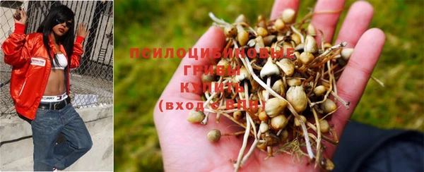ешки Алексеевка
